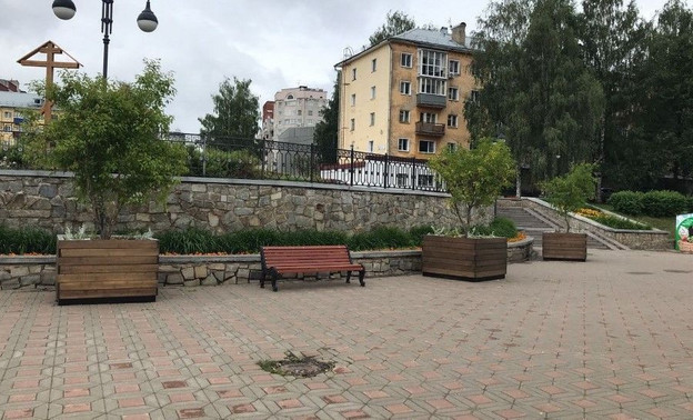 На набережной Грина установили клёны в деревянных контейнерах