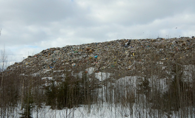 Кировским коммунальщикам некуда вывозить мусор