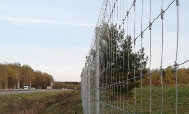 Вдоль двух дорог в Кировской области сделали ограждения от животных