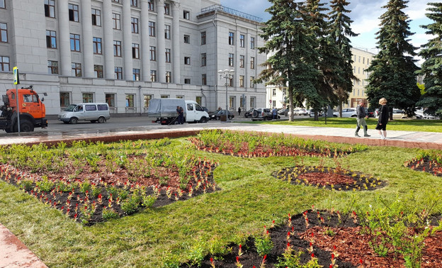 Напротив здания правительства Кировской области обустроили цветник