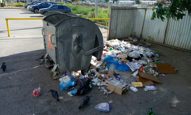 Куда жаловаться на мусор, лежащий на контейнерной площадке?