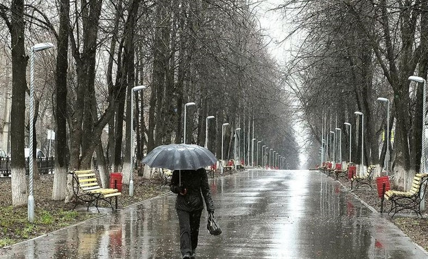 На Кировскую область движется североатлантический циклон, обещающий дожди и сильный ветер