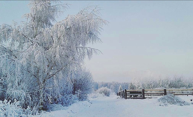 Погода в Кирове. В пятницу похолодает, но снег продолжит идти