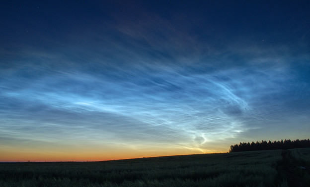 Редкое явление: над Кировской областью поплывут серебристые облака