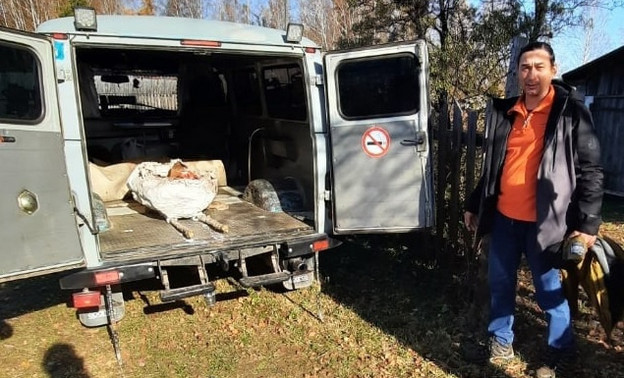 В Киров из Котельнича доставили останки парейазавра. Фото