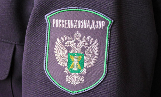 Жительница Кумёнского района утилизировала труп собаки не по правилам