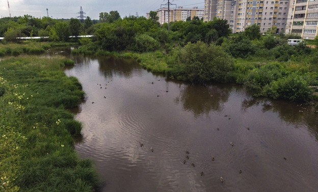 Неизвестные пожаловались на активистов, которые хотят создать парк возле Люльченки