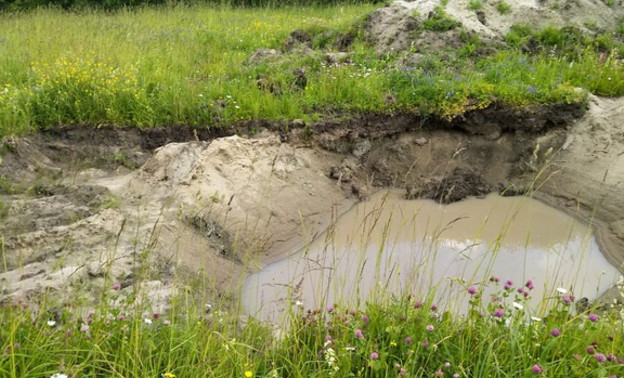 Кировчанина заподозрили в незаконной добыче песка на сумму более 2,5 млн рублей