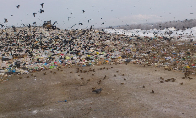 Кировские депутаты и чиновники выступили против мусорной реформы и концессии