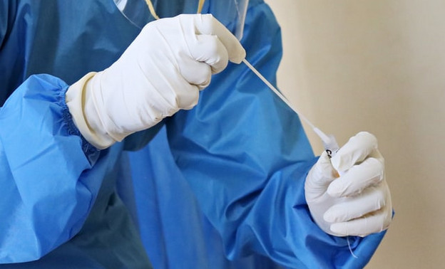 Российские учёные определили необходимое количество антител для защиты от коронавируса
