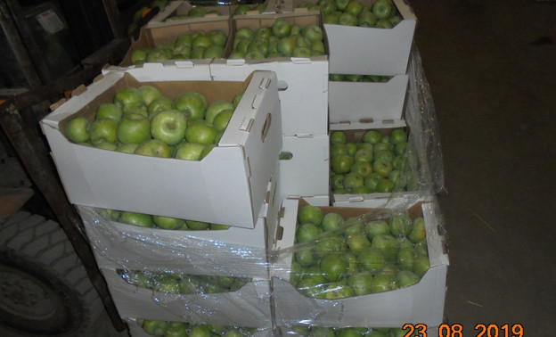 В Кирове раздавили полтонны яблок и груш