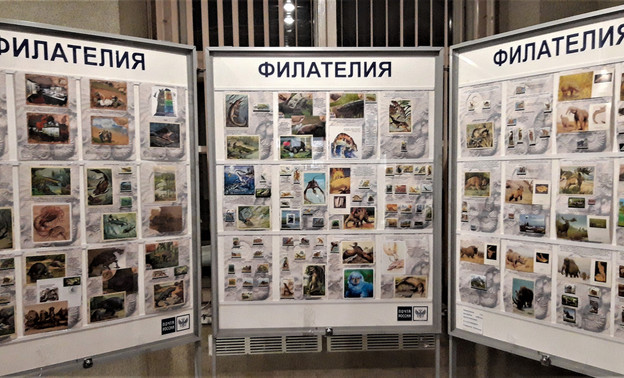 В кировском главпочтамте открылась филателистическая выставка