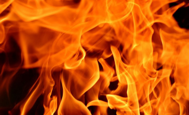 В Богородском районе в пожаре погибла пенсионерка