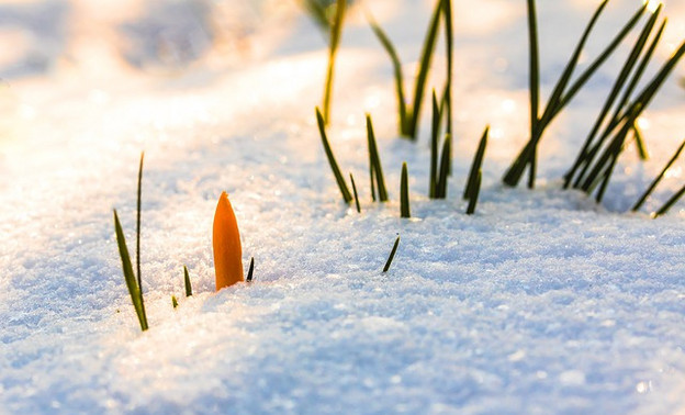 В Кировской области ожидается тёплый апрель