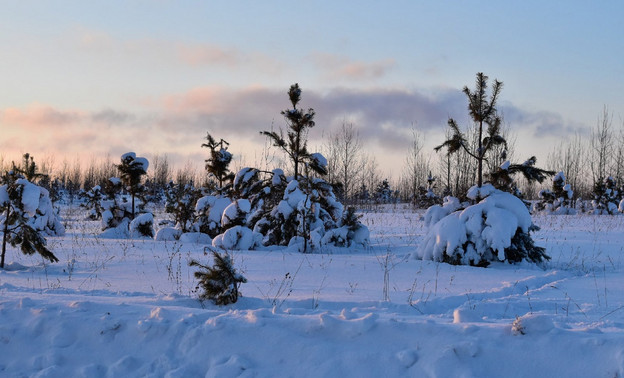 Погода в Кирове 14 января: снежно и тепло