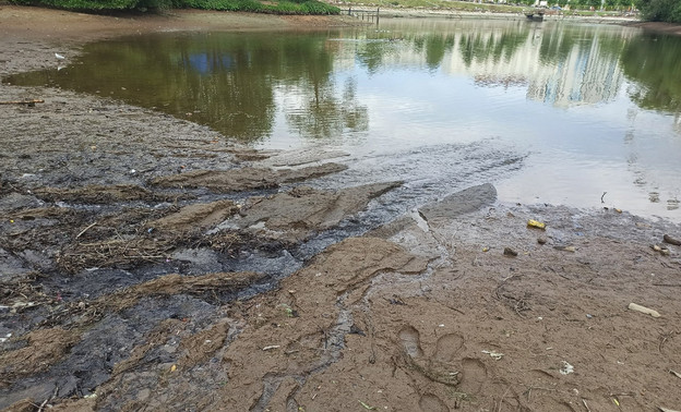 Как выглядит пруд в парке имени Кирова во время спуска воды. Фотолента