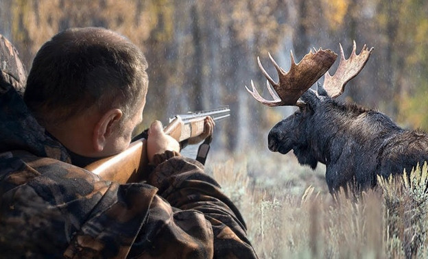 В Кировской области продлили сезон охоты на лосей