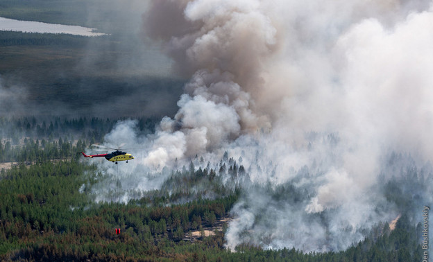 Что запрещается делать в лесу во время действия пожароопасного сезона?