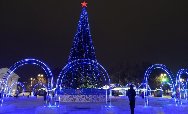 Во всех районах Кирова установят новогодние ели