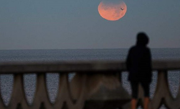Полное лунное затмение 8 ноября: где и когда наблюдать