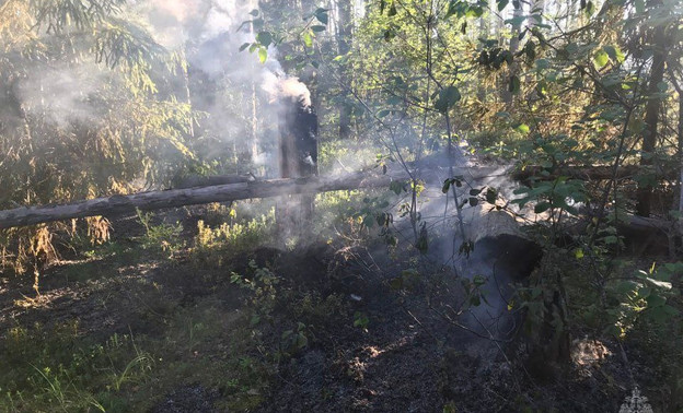 Молния стала причиной лесного пожара в Немском районе