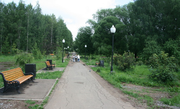В Кирове от клещей обработали все парки, скверы и кладбища