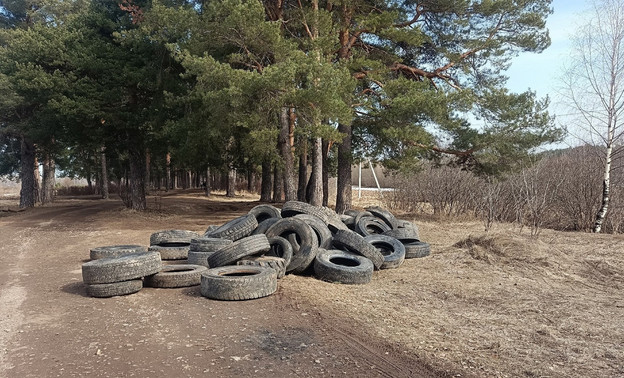 В Заречном парке образовалась свалка грузовых шин