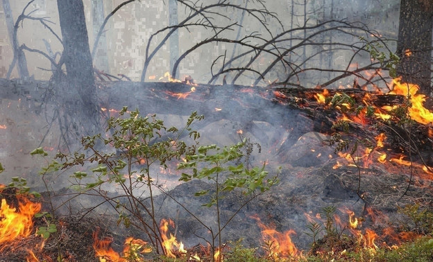 В Кайском лесничестве Кировской области произошёл пожар
