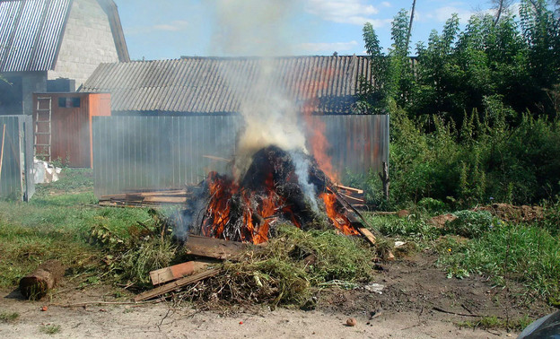 Россиян предупредили о крупных штрафах за сжигание сухой травы на даче