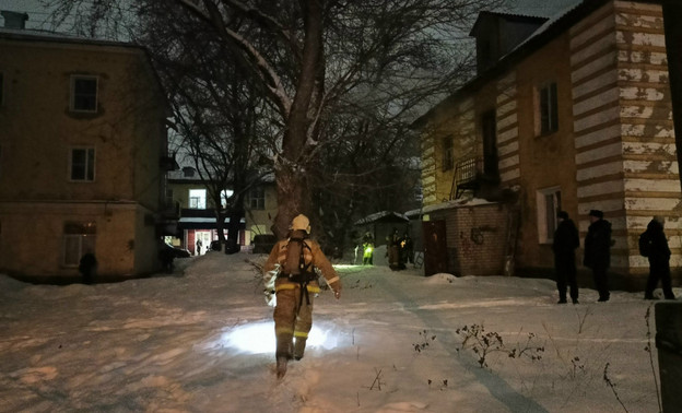 При пожаре на экоферме под Котельничем погибли более 20 коз и кур