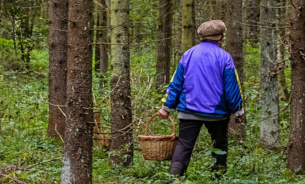 Заблудившаяся пенсионерка из Кирова провела в лесу полдня. Вернуться домой женщине помогли спасатели