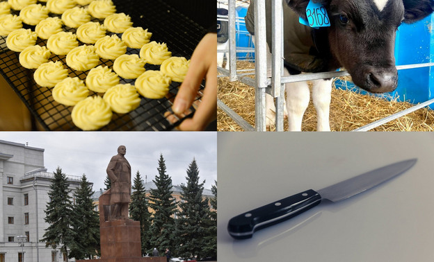 Итоги дня 17 января: конкурс на разработку бренда города Белая Холуница и новая ферма в Уржумском районе