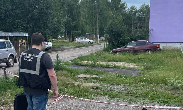 Кировчанина, который жестоко убил незнакомца в парке, признали невменяемым