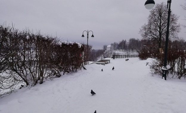 Погода в Кирове. В четверг снегопад закончится, будет пасмурно