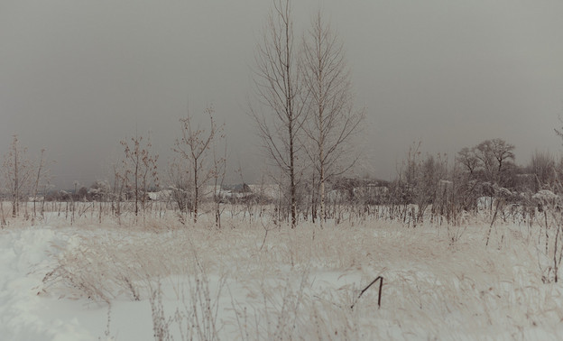 Зима наступила: снег покрыл почти всю Россию