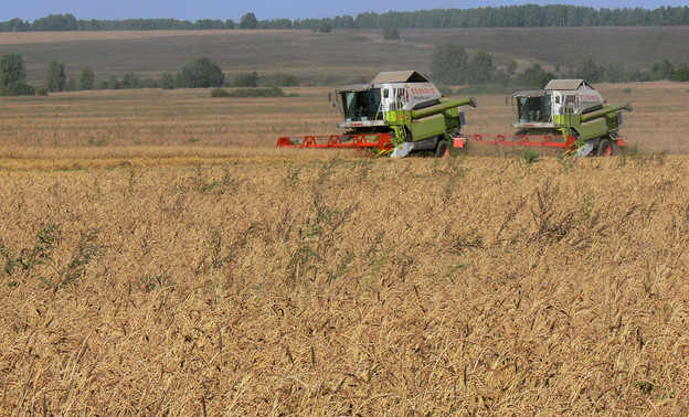 Кировская область получит из федерального бюджета 3,48 млн рублей на поддержку сельского хозяйства