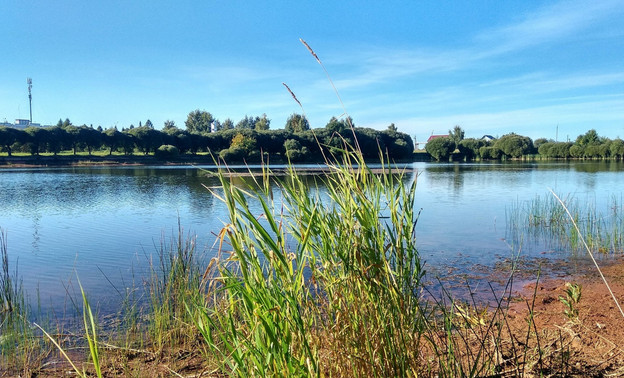 В Кировской области на водоёмах начинается период нереста