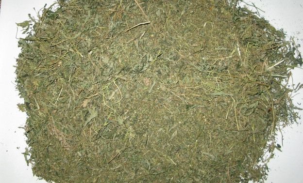 У жителя Кировской области нашли больше килограмма марихуаны