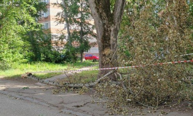 Глава Кирово-Чепецка прокомментировала трагедию на улице Лермонтова