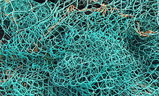 В Кировской области на рыбака, ловившего карпов сетью, завели уголовное дело