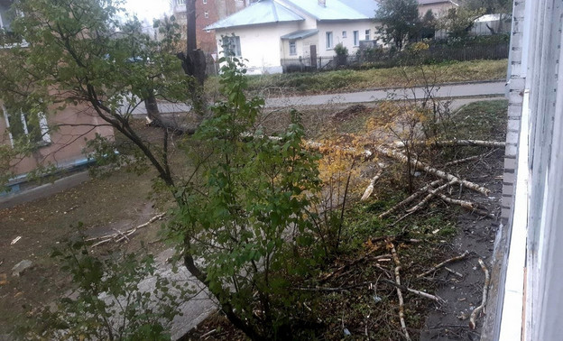 В Кирово-Чепецке из-за порыва ветра тополь упал на жилой дом
