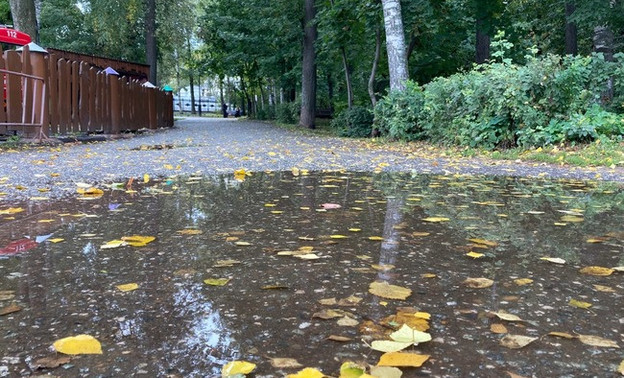 Погода в Кирове 10 сентября. Северо-западный ветер и небольшой дождь