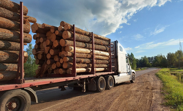 Из Кировской области вывезли больше 736 тысяч кубометров леса
