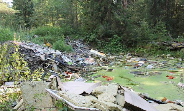 В Кирове арендатор лесного участка не убирал 14 мусорных свалок