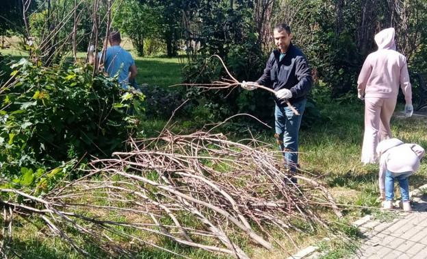 Кировчане семьями почистили Кочуровский парк от мусора и сухих деревьев