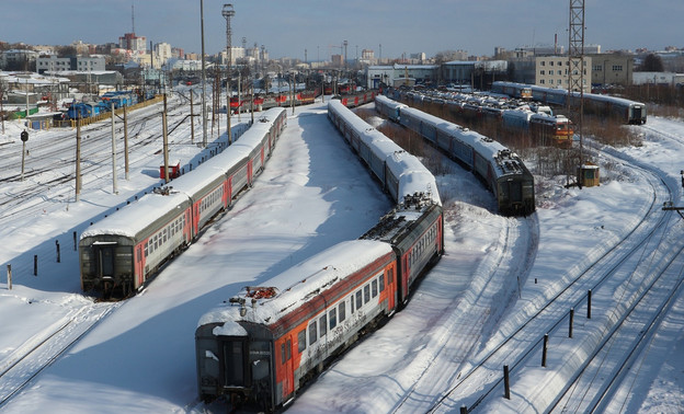 Кировский юрист объяснил, могут ли посадить проводницу, которая выбросила кота Твикса из поезда