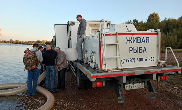 В реку Вятку в Нововятском районе выпустили 2 тысячи мальков стерляди