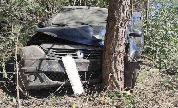 В Вятскополянском районе иномарка врезалась в дерево. Пострадала 9-летняя девочка