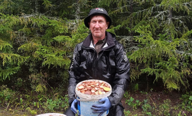Кировский собиратель грибов Александр Грачёв поделился лесными трофеями
