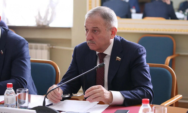 Петицию за отставку Быкова передали губернатору